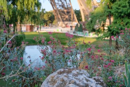 Jardin Est